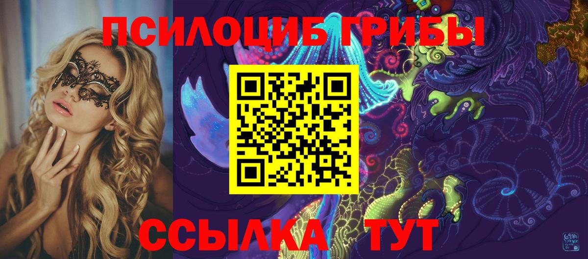 Псилоцибиновые грибы прущие грибы Ульяновск