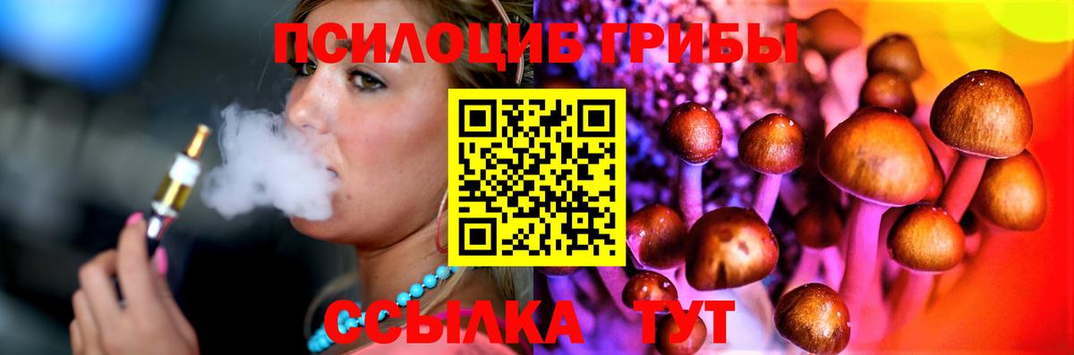 Ульяновск  Псилоцибиновые грибы Psilocybe  Вход с VPN 